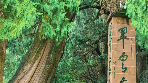 【千年蜀道·5日4晚】徒步43KM 梦回三国/ 打卡剑门关 +金牛古道 +汉阳古蜀道+翠云廊+昭化古城+千佛崖/2晚温泉酒店入住