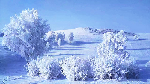 【遇见乌兰布统冬·亲子营5日】北京+塞罕坝林海穿越+游牧部落牧民家访+乌兰布统越野穿越+雪原狩猎+雪地火锅+冬捕+冰雪运动会+古北水镇+司马台长城+28人品质亲子团