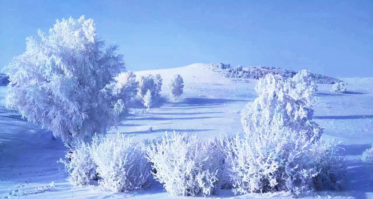 【遇见乌兰布统冬·亲子营5日】北京+塞罕坝林海穿越+游牧部落牧民家访+乌兰布统越野穿越+雪原狩猎+雪地火锅+冬捕+冰雪运动会+古北水镇+司马台长城+28人品质亲子团