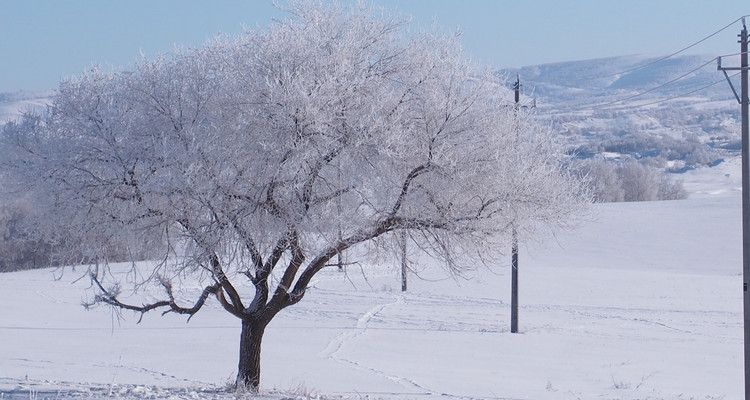 【遇见乌兰布统冬·亲子营5日】北京+塞罕坝林海穿越+游牧部落牧民家访+乌兰布统越野穿越+雪原狩猎+雪地火锅+冬捕+冰雪运动会+古北水镇+司马台长城+28人品质亲子团