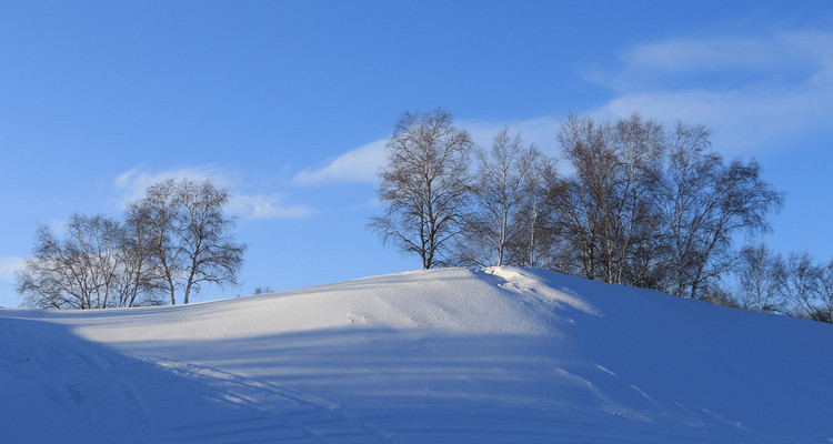 【遇见乌兰布统冬·亲子营5日】北京+塞罕坝林海穿越+游牧部落牧民家访+乌兰布统越野穿越+雪原狩猎+雪地火锅+冬捕+冰雪运动会+古北水镇+司马台长城+28人品质亲子团