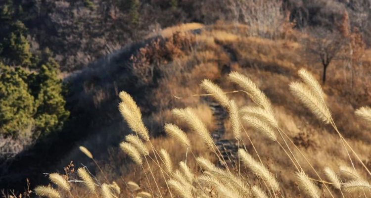 【北京一周一山·三界碑】一脚踏三省丨穿越原生态长城+感受京津冀交界的魅力~