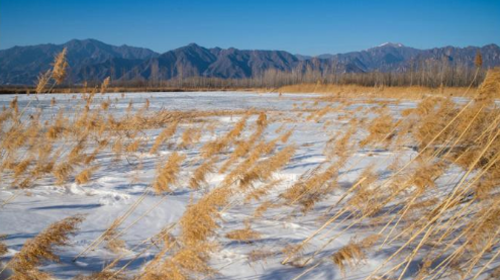 【北京一周一山·妫水河踏冰】冬季恋歌的秘密基地+踏冰探幽+探索京郊贝加尔湖的冬日画卷！