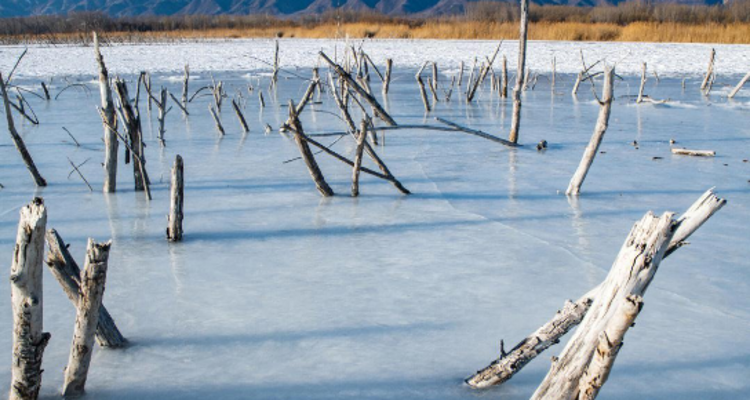 【北京一周一山·妫水河踏冰】冬季恋歌的秘密基地+踏冰探幽+探索京郊贝加尔湖的冬日画卷！