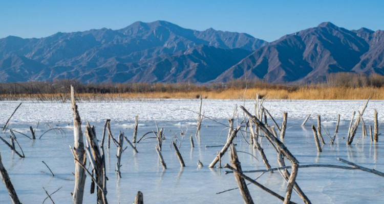 【北京一周一山·妫水河踏冰】冬季恋歌的秘密基地+踏冰探幽+探索京郊贝加尔湖的冬日画卷！