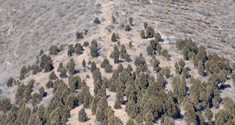 【北京一周一山·狐狸峪】探秘北方武功山丨蓟县狐狸峪：冬日徒步的惊喜之地~