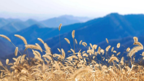 【北京一周一山·狐狸峪】探秘北方武功山丨蓟县狐狸峪：探索神秘传说与绝美山脊