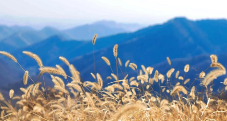 【北京一周一山·狐狸峪】探秘北方武功山丨蓟县狐狸峪：冬日徒步的惊喜之地~