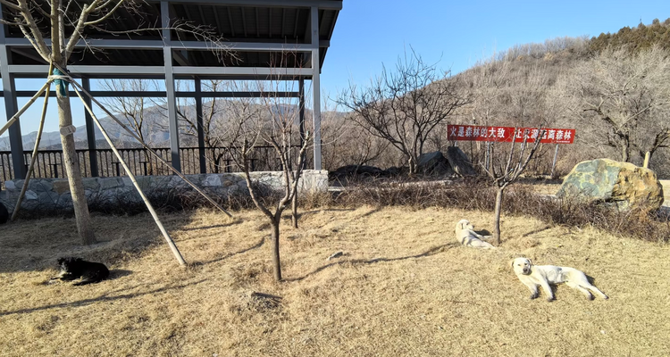 【北京一步一画・京郊画骏马】2026潮尚马年首发！徒步京郊画骏马，解锁生肖轨迹打卡新玩法