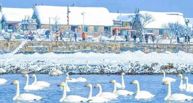 【浪漫半岛·山海漫游5日】春节特辑丨雪与海之歌丨畅游烟台+威海+蓬莱阁+烟墩角天鹅+布鲁威斯号沉船+火炬八街+青州古城中国年+驼山石窟+青州博物馆+纯玩休闲游