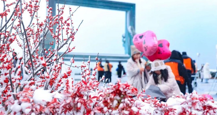 【浪漫半岛·山海漫游5日】春节特辑丨雪与海之歌丨畅游烟台+威海+蓬莱阁+烟墩角天鹅+布鲁威斯号沉船+火炬八街+青州古城中国年+驼山石窟+青州博物馆+纯玩休闲游