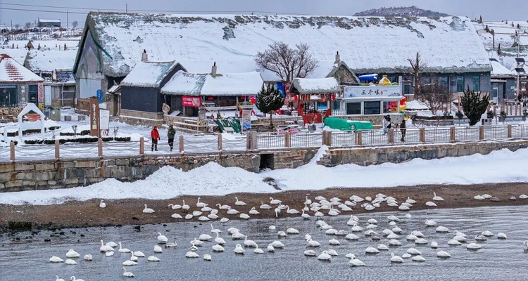 【浪漫半岛·山海漫游5日】春节特辑丨雪与海之歌丨畅游烟台+威海+蓬莱阁+烟墩角天鹅+布鲁威斯号沉船+火炬八街+青州古城中国年+驼山石窟+青州博物馆+纯玩休闲游
