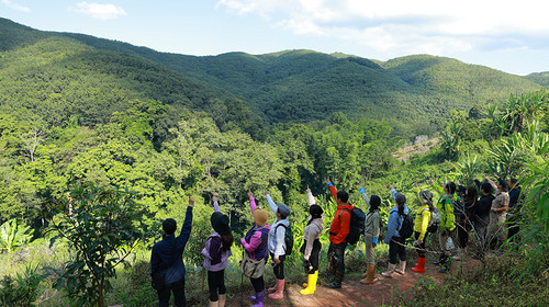 【徒步华夏第二十二站 · 版纳茶山站】基诺山雨林徒步+景迈山古茶园徒步+景真八角亭+翁基古寨+景迈山糯干古寨+湄公河星光夜市+专业摄影师跟拍航拍+5日徒步
