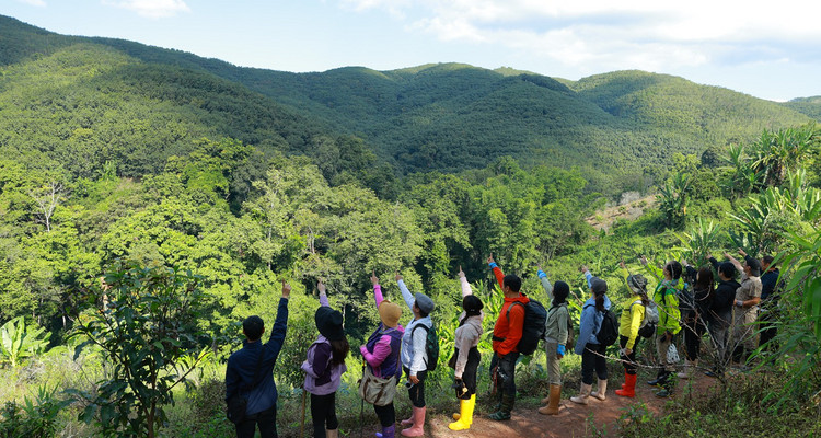 【徒步华夏第二十二站 · 版纳茶山站】基诺山雨林徒步+景迈山古茶园徒步+景真八角亭+翁基古寨+景迈山糯干古寨+湄公河星光夜市+专业摄影师跟拍航拍+5日徒步
