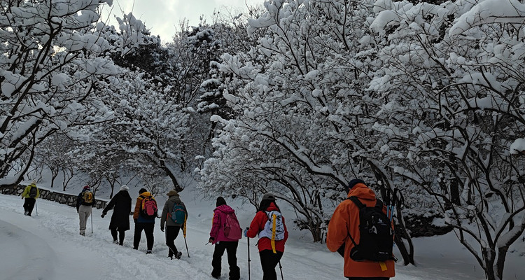 【北京一步一画・京郊画骏马】2026潮尚马年首发！徒步京郊画骏马，解锁生肖轨迹打卡新玩法