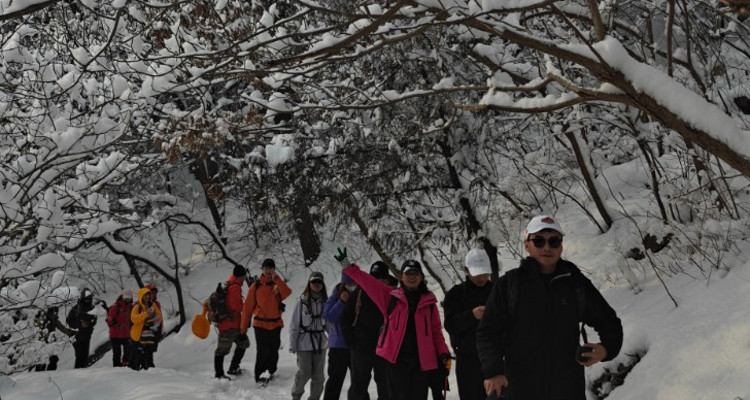 【北京一步一画・京郊画骏马】2026潮尚马年首发！徒步京郊画骏马，解锁生肖轨迹打卡新玩法