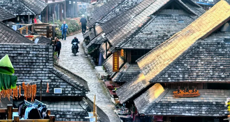 【徒步华夏第二十二站 · 版纳茶山站】基诺山雨林徒步+景迈山古茶园徒步+景真八角亭+翁基古寨+景迈山糯干古寨+湄公河星光夜市+专业摄影师跟拍航拍+5日徒步