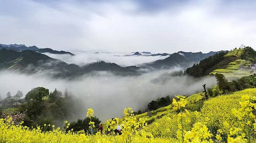 【徒步华夏第二十三站 · 皖南徽州站】婺源篁岭花海+梯田徒步+新安江徒步+天空之城+摄影石潭锁雾+屯溪老街+专业摄影师跟拍航拍+庆功宴+4日徒步