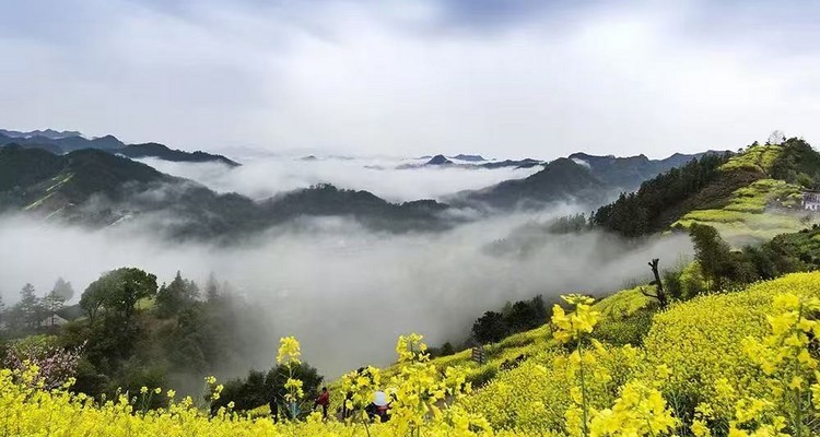 【徒步华夏第二十三站 · 皖南徽州站】婺源篁岭油菜花+梯田徒步+新安江徒步+天空之城+摄影石潭锁雾+屯溪老街+专业摄影师跟拍航拍+庆功宴+4日徒步