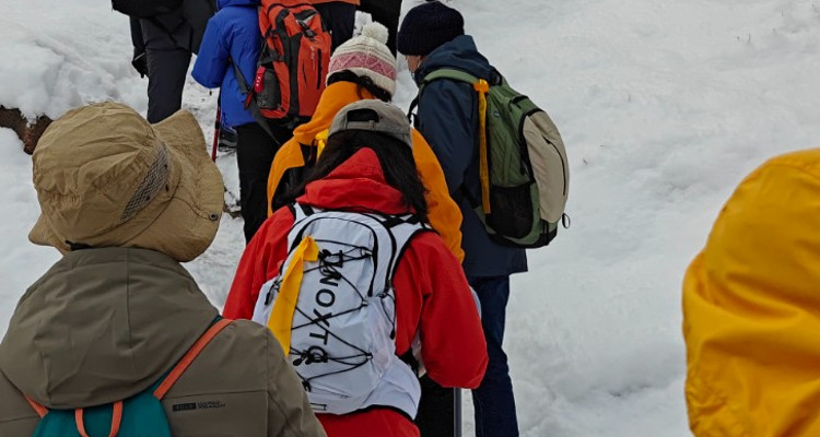 【北京一步一画・京郊画骏马】2026潮尚马年首发！徒步京郊画骏马，解锁生肖轨迹打卡新玩法