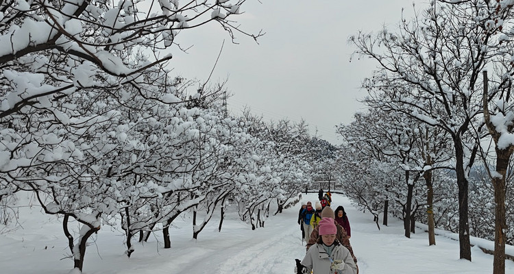 【北京一步一画・京郊画骏马】2026潮尚马年首发！徒步京郊画骏马，解锁生肖轨迹打卡新玩法