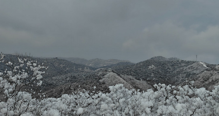 【北京一步一画・京郊画骏马】2026潮尚马年首发！徒步京郊画骏马，解锁生肖轨迹打卡新玩法