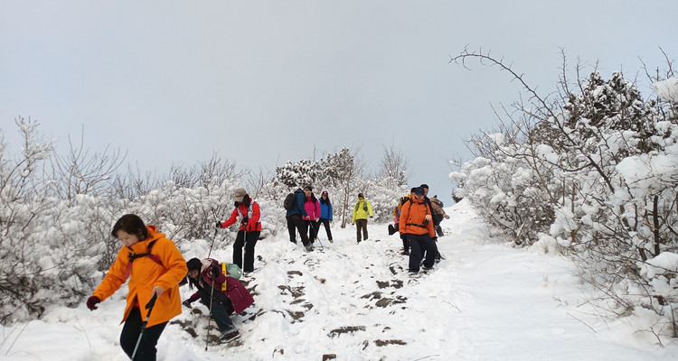 【北京一步一画・京郊画骏马】2026潮尚马年首发！徒步京郊画骏马，解锁生肖轨迹打卡新玩法