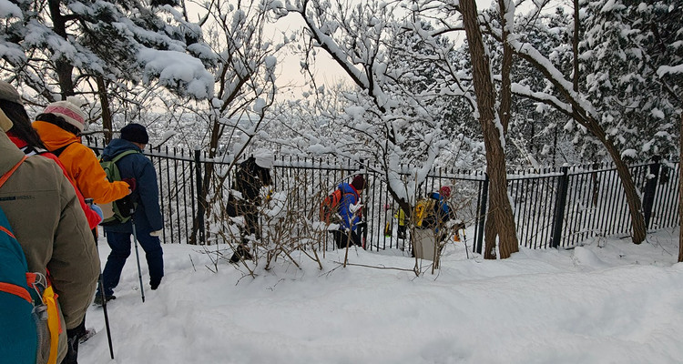 【北京一步一画・京郊画骏马】2026潮尚马年首发！徒步京郊画骏马，解锁生肖轨迹打卡新玩法