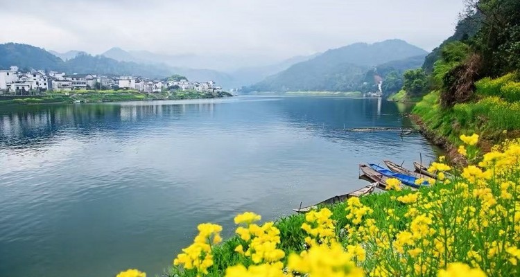 【徒步华夏第二十三站 · 皖南徽州站】婺源篁岭油菜花+梯田徒步+新安江徒步+天空之城+摄影石潭锁雾+屯溪老街+专业摄影师跟拍航拍+庆功宴+4日徒步