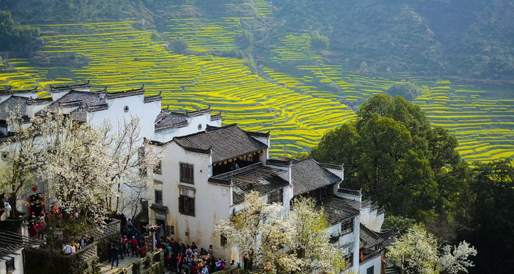 【徒步华夏第二十三站 · 皖南徽州站】婺源篁岭油菜花+梯田徒步+新安江徒步+天空之城+摄影石潭锁雾+屯溪老街+专业摄影师跟拍航拍+庆功宴+4日徒步