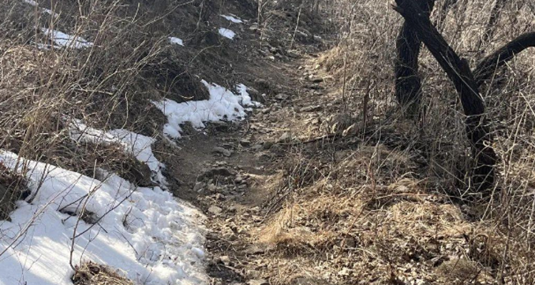 【北京一周一山·天泉寺-栖隐寺】女神节特惠38元丨探寻京西紫禁城神隐地+栖隐寺桃花盛开，徒步赏花正当时！
