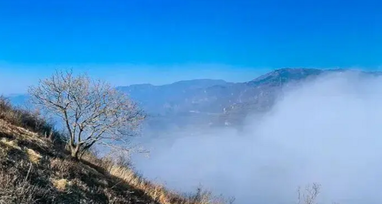 【北京一周一山·天泉寺-栖隐寺】女神节特惠38元丨探寻京西紫禁城神隐地+栖隐寺桃花盛开，徒步赏花正当时！