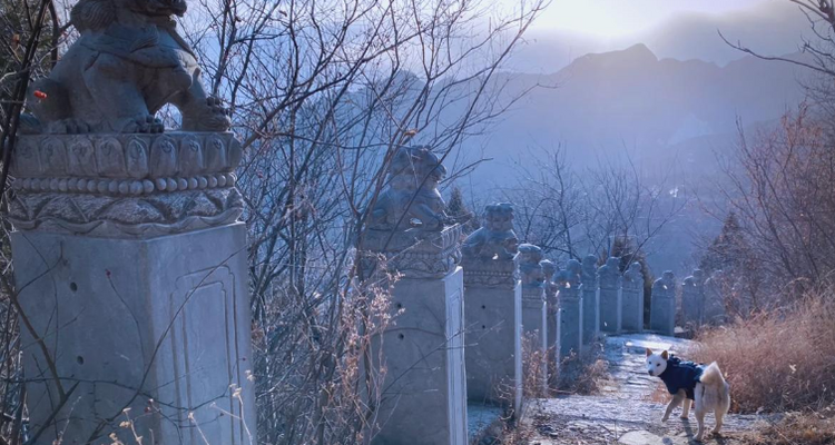 【北京一周一山·天泉寺-栖隐寺】女神节特惠38元丨探寻京西紫禁城神隐地+栖隐寺桃花盛开，徒步赏花正当时！