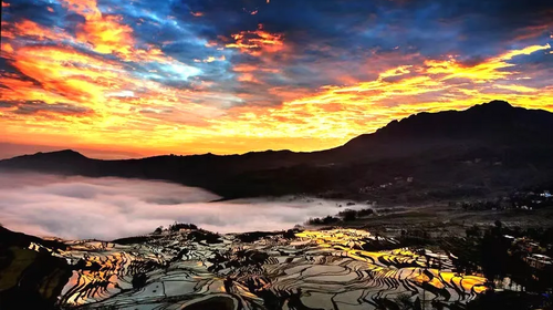 【又见云南· 滇东南全景9日】元阳梯田-罗平油菜花-建水-碧色寨-坝美-普者黑-东风韵-抚仙湖-东川红土地-元谋土林9日游