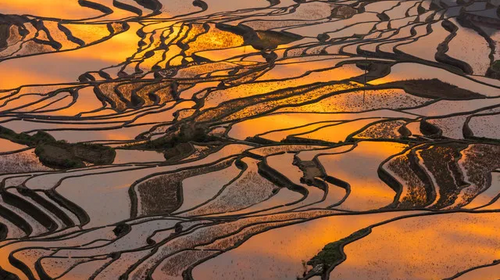 【又见云南· 滇东南全景9日】元阳梯田-罗平油菜花-建水-碧色寨-坝美-普者黑-东风韵-抚仙湖-东川红土地-元谋土林9日游