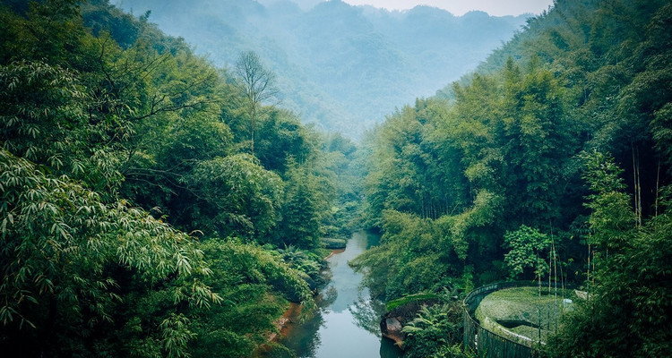 【遇见贵州·花海黔境7日】百里杜鹃+贵阳+黔西+乌江寨+赤水四洞沟+赤水大瀑布+佛光岩+十二背后双河洞+地下裂缝+摇橹船+非遗演出+2-8人小包团&8人拼团7日游