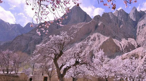 【绝色新疆·南疆塔莎杏花】木吉火山口 +塔莎古道+ 莎车古城 +班迪尔湖 +盘龙古道 +喀什 +大同乡+ 塔尔乡杏花7日游