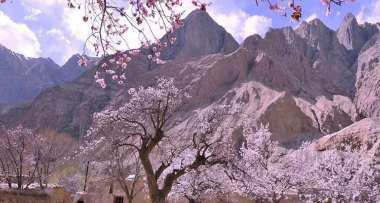 【绝色新疆·南疆塔莎杏花】木吉火山口 +塔莎古道+ 莎车古城 +班迪尔湖 +盘龙古道 +喀什 +大同乡+ 塔尔乡杏花7日游