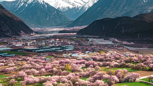 【又见云南 · 穿越丙察察10日】大理-老姆登-独龙江-怒江-丙中洛-察瓦龙-然乌湖-墨脱-波密—索松雪山下午茶-林芝桃花10日