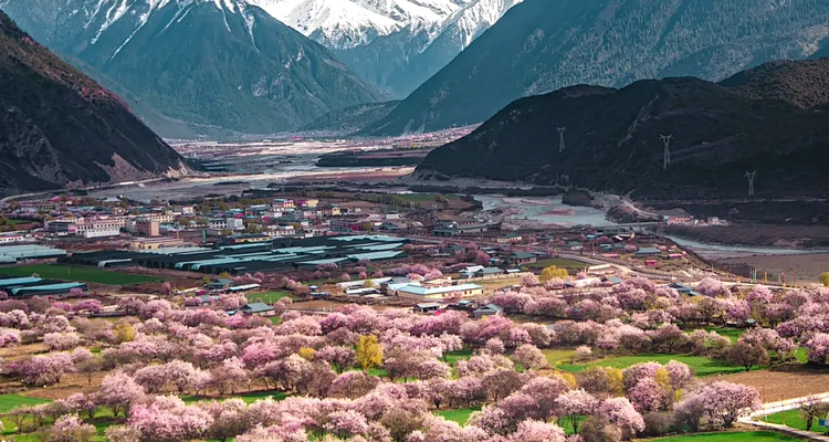 【又见云南 · 穿越丙察察10日】大理-老姆登-独龙江-怒江-丙中洛-察瓦龙-然乌湖-墨脱-波密—索松雪山下午茶-林芝桃花10日