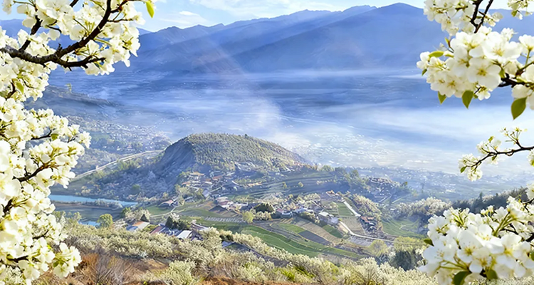 【大美川藏10日】 林芝桃花+金川梨花+毕棚沟+甲居藏寨+墨石公园+然乌湖+米堆冰川+南迦巴瓦峰+索松村/雅鲁藏布大峡谷10日游