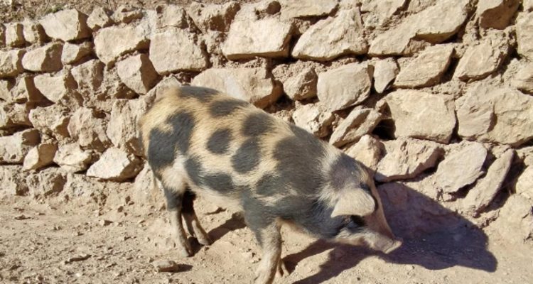 【北京一周一山·白瀑寺】‌闯入京郊玄幻世界+探访京西辽代最魔幻的寺庙~