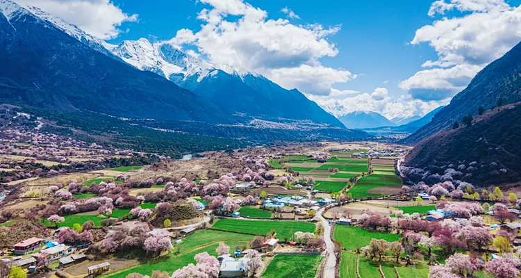 【大美川藏10日】 林芝桃花+金川梨花+毕棚沟+甲居藏寨+墨石公园+然乌湖+米堆冰川+南迦巴瓦峰+索松村/雅鲁藏布大峡谷10日游