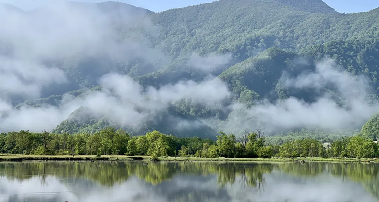 【地道湖北·古蕴神武峡7日】武汉＋襄阳古城 +太子坡 +琼台中观+ 住武当上+琼台中观+ 金顶+南岩宫+紫霄宫+房县+天燕+ 神农顶 +坪阡古镇+大九湖 +巫山+三峡之巅+白帝城+神女天路+景观人文大环线 2-8人VIP小团