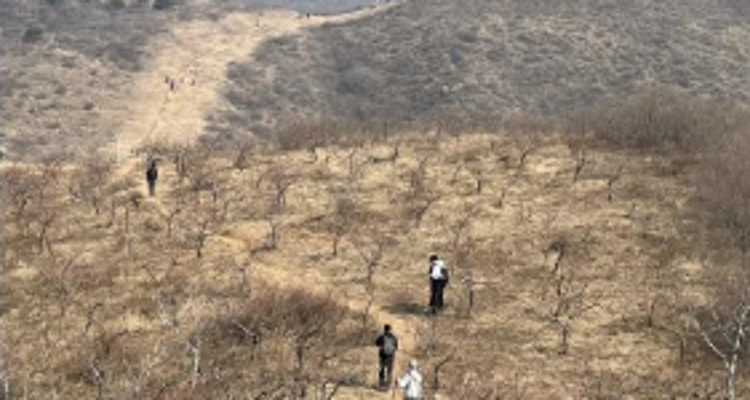 【北京一周一山·娘娘顶】京郊春日徒步之旅：探寻娘娘顶传说与翠屏湖美景+探索山野的无限魅力