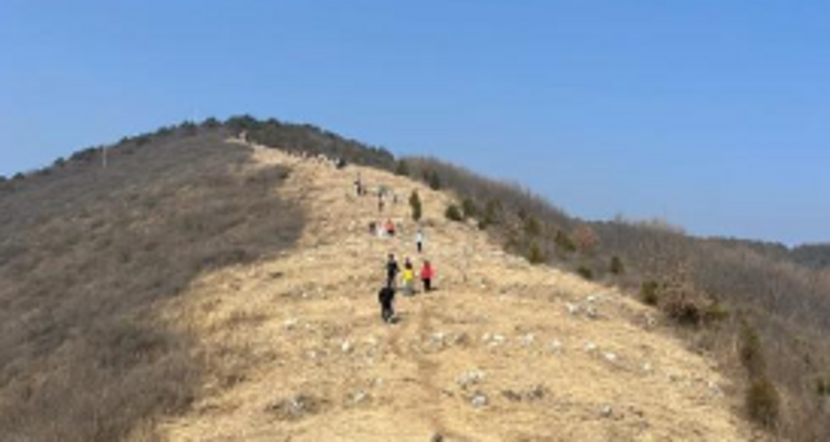 【北京一周一山·娘娘顶】京郊春日徒步之旅：探寻娘娘顶传说与翠屏湖美景+探索山野的无限魅力