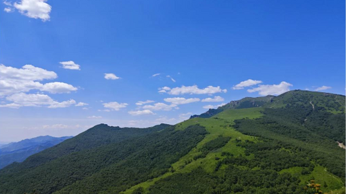 【北京一周一山·黄花梁】徒步梨园岭与黄花梁：探寻自然之美与挑战之趣~
