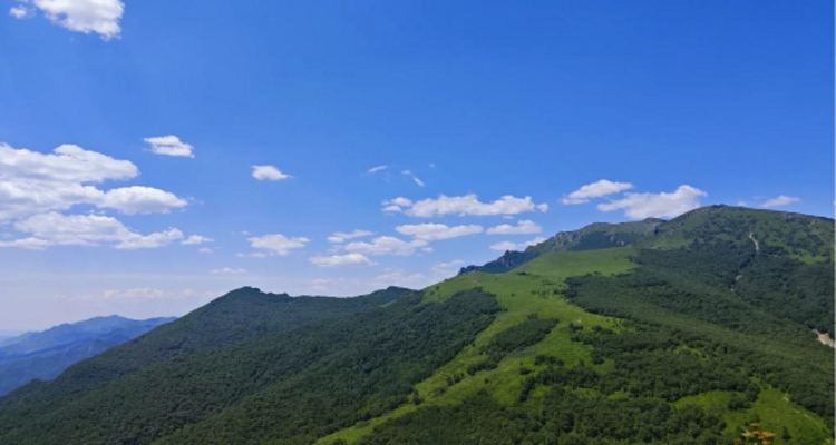 【北京一周一山·黄花梁】徒步梨园岭与黄花梁：探寻自然之美与挑战之趣~