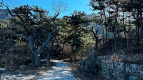 【北京一周一山·大黑山】延寿寺大黑山：京郊隐秘徒步胜地，古刹与自然步道的完美结合~