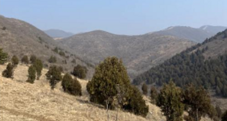 【北京一周一山·娘娘顶】京郊春日徒步之旅：探寻娘娘顶传说与翠屏湖美景+探索山野的无限魅力